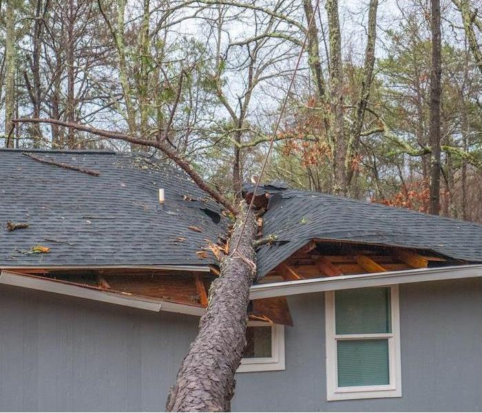 severe roof damage from a large tree landing on gray house
